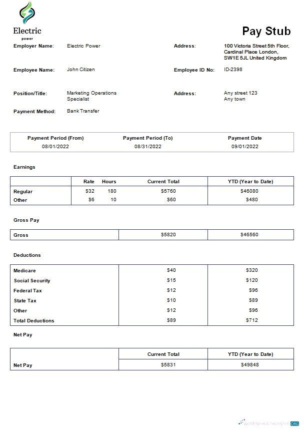 Download Electric power pay stub template in Word and PDF formats Photoshop template